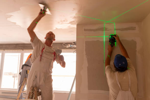 Best Airborne Mold Testing  in Palos Hls, IL
